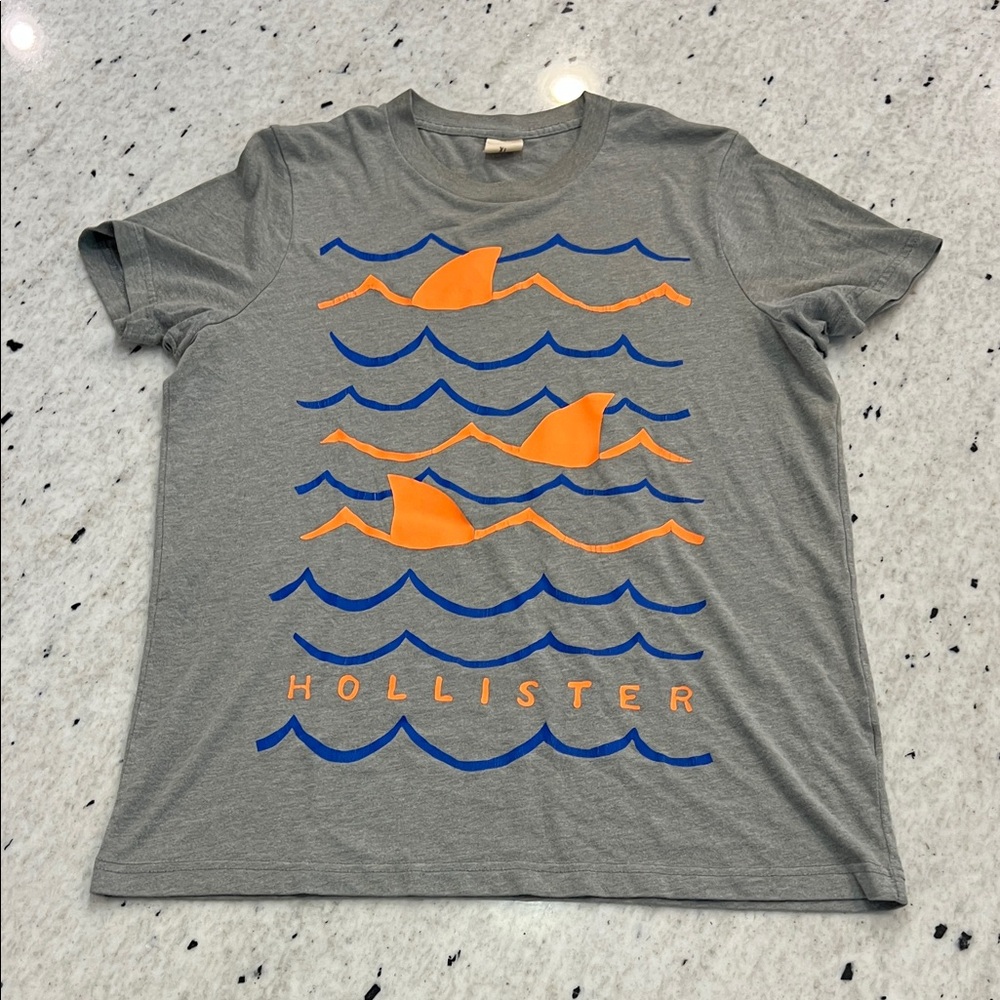 Hollister Men’s Gray Crew Neck Graphic Tee Shirt